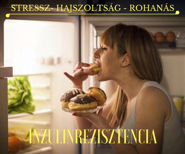 A stressz és a rohanó életmód hatása a szervezetre: mi is az az Inzulinrezisztencia? 1.kép